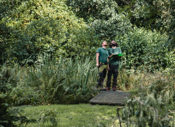 Gardening colleagues planning work in overgrown garden with clipboard