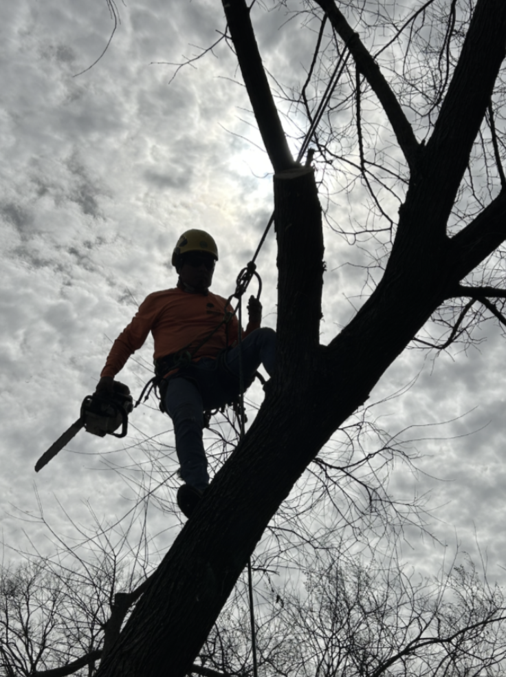 Captura de pantalla 2026-06-10 a la(s) 9.46.53 a.m.