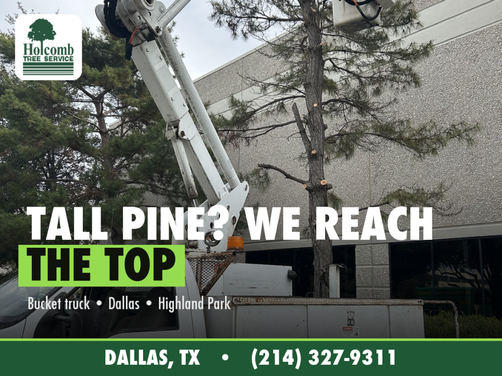 Holcomb_2_Bucket_Truck