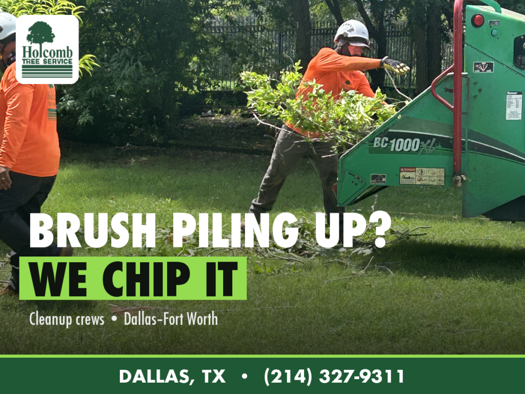 Holcomb_2_Chipper_Cleanup
