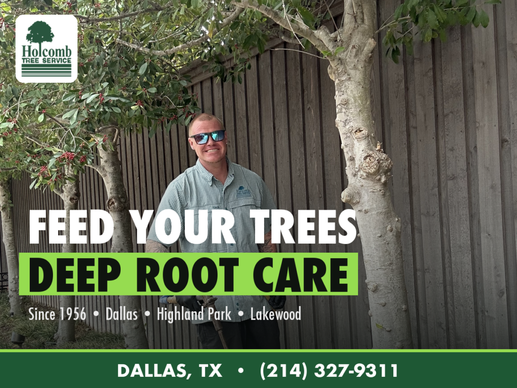 Holcomb_2_Deep_Root_Fertilizing