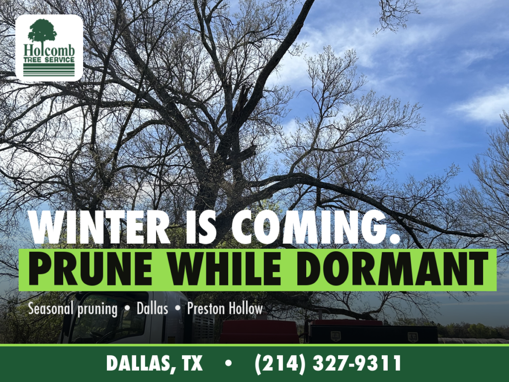 Holcomb_2_Dormant_Pruning