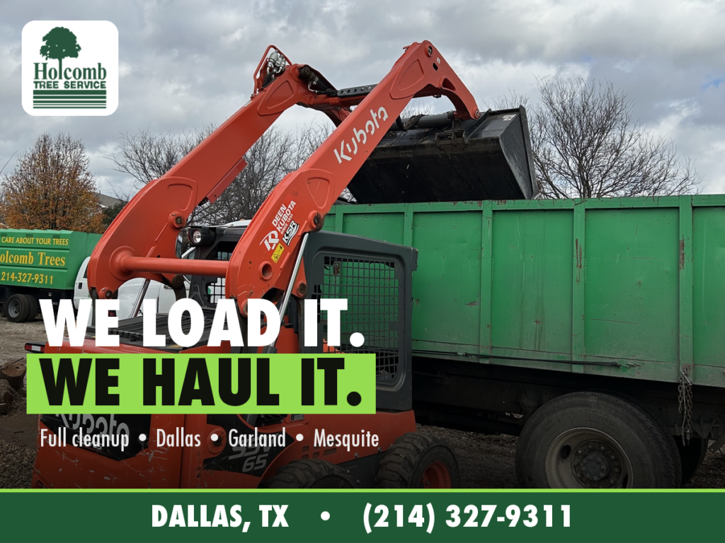 Holcomb_3_Load_And_Haul