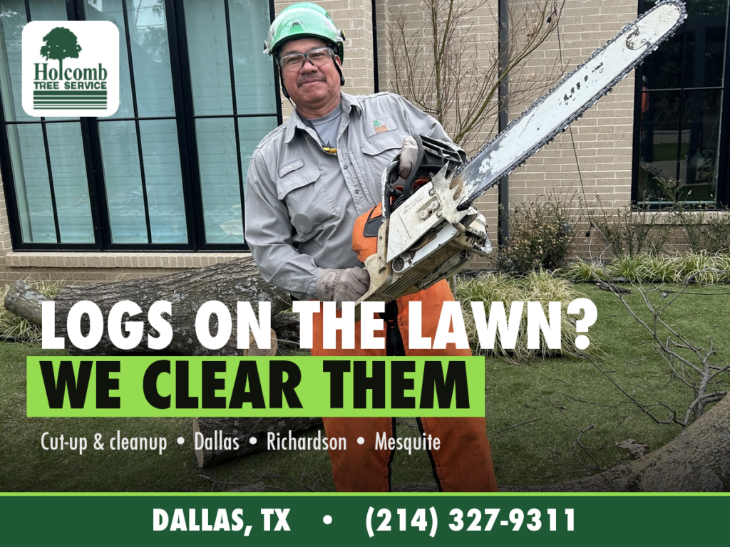 Holcomb_3_Logs_On_Lawn